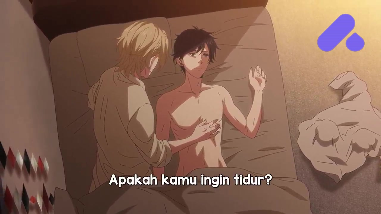 Episode 12 (End)
