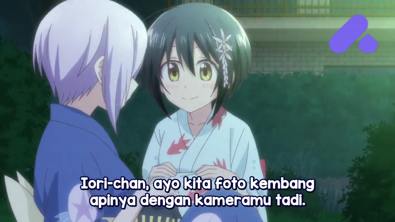 Episode 12 (End)