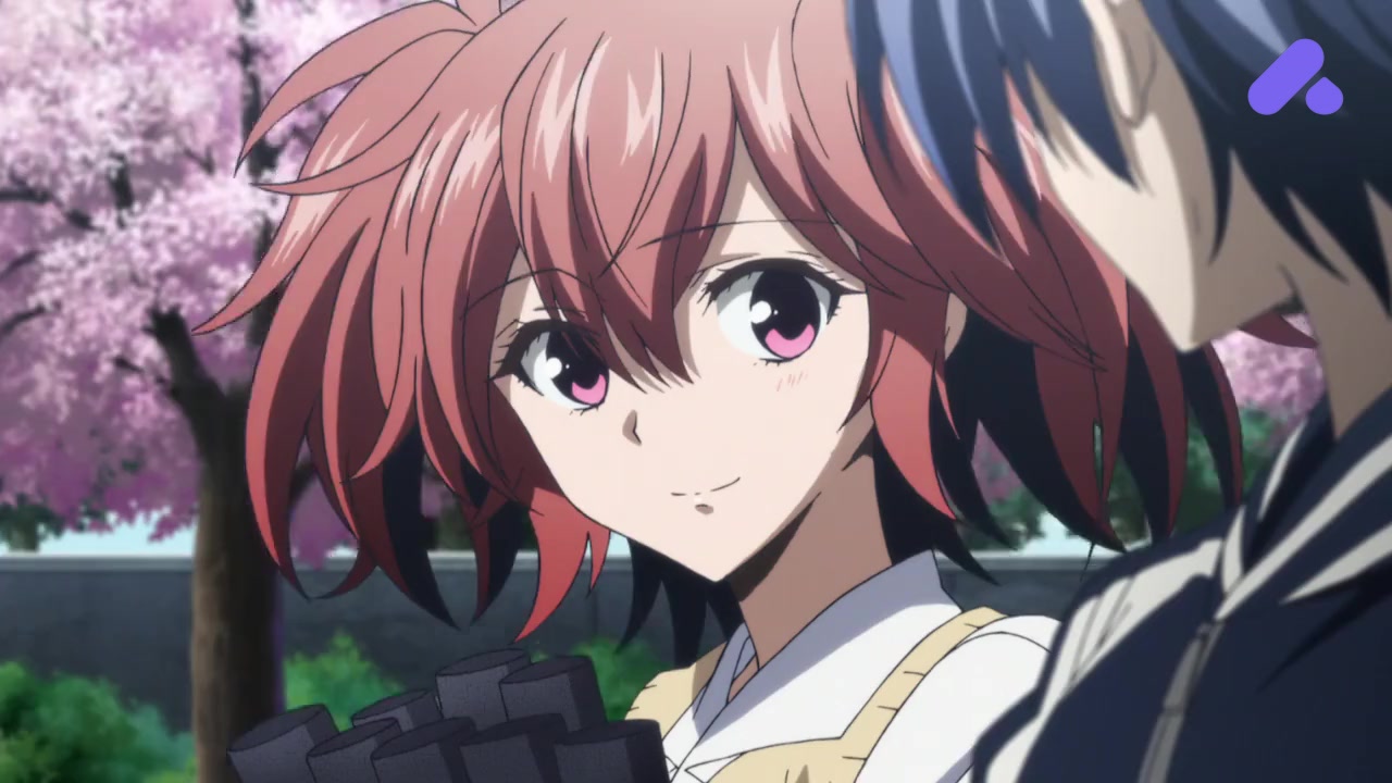 Episode 12 (End)