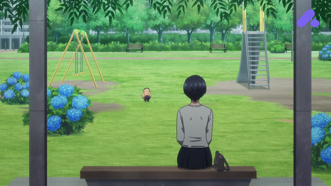 Episode 12 (End)
