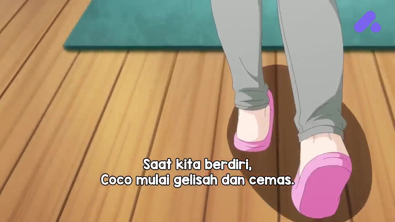 Episode 5