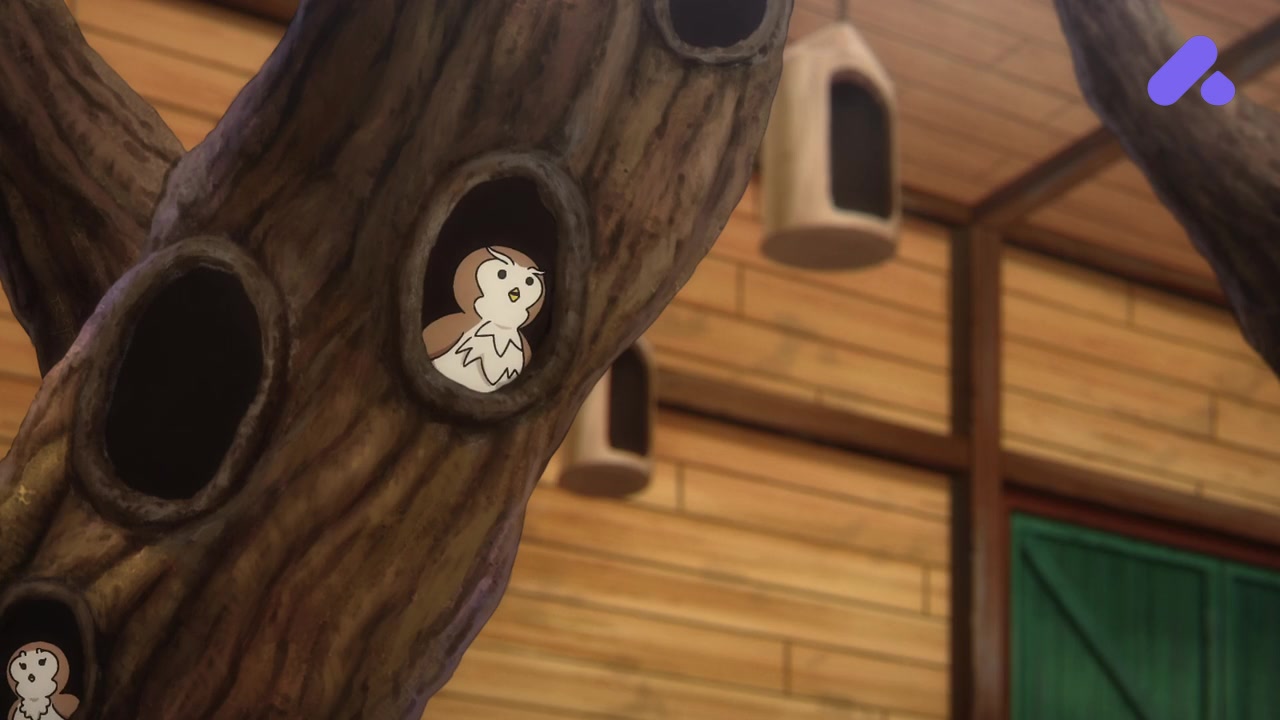 Episode 7