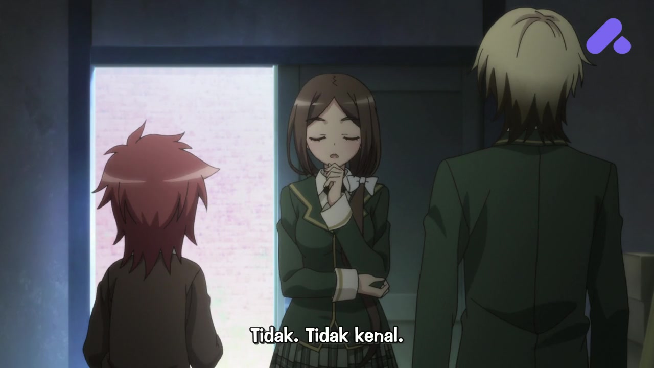 Episode 12 (End)