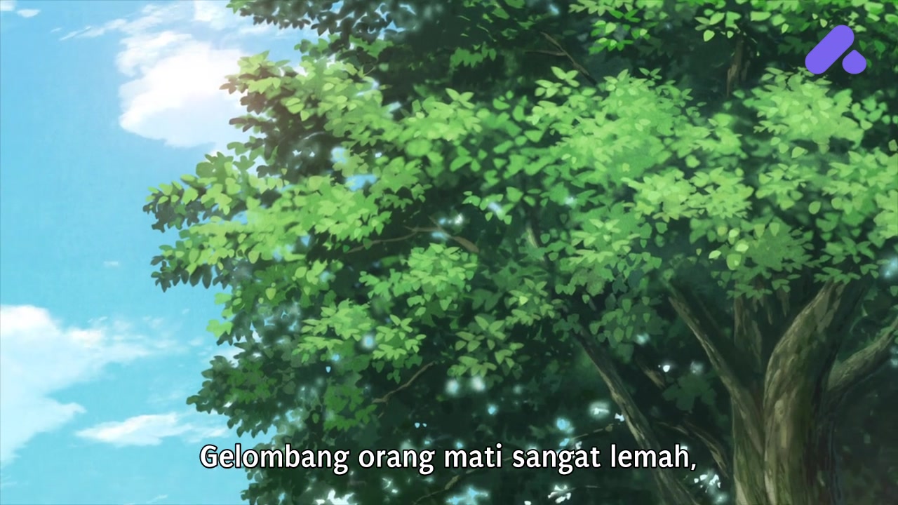Episode 14