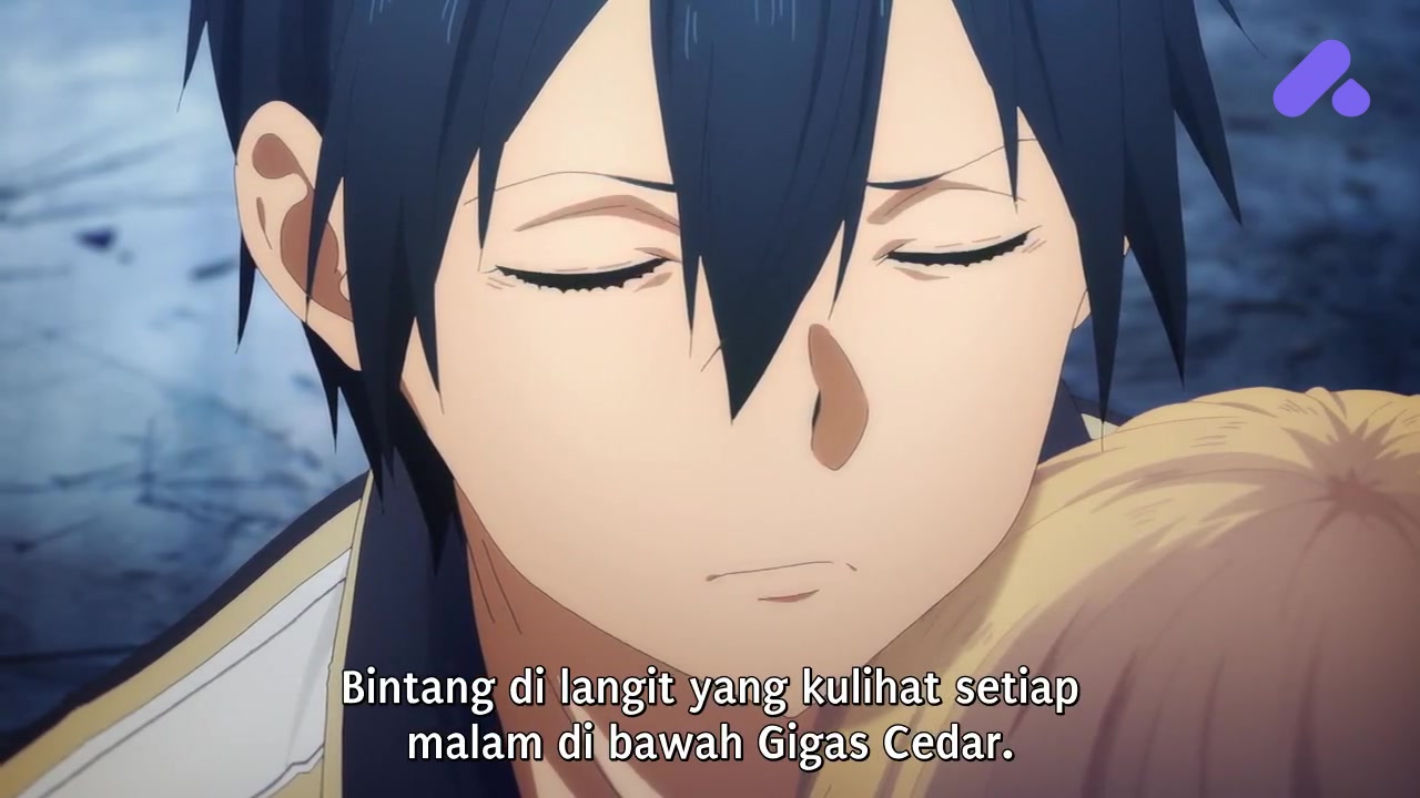 Episode 24 (End)