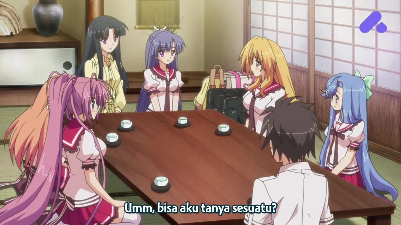 Episode 12 (End)