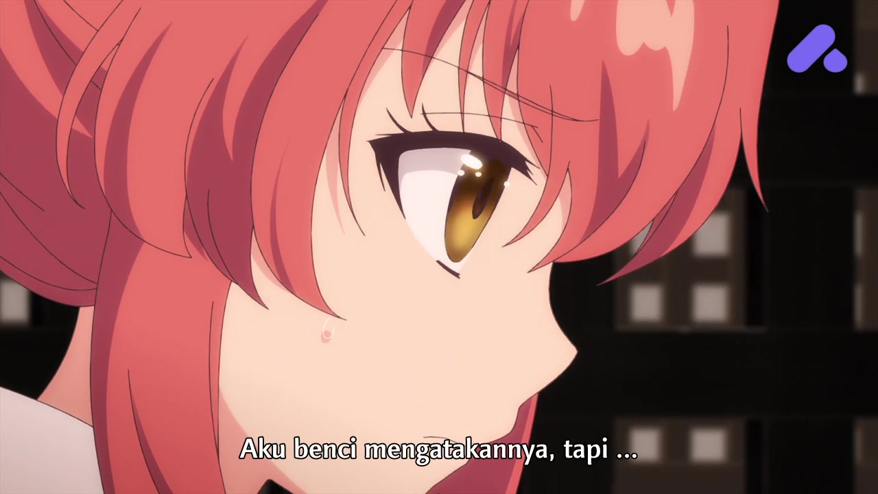 Episode 12 (End)