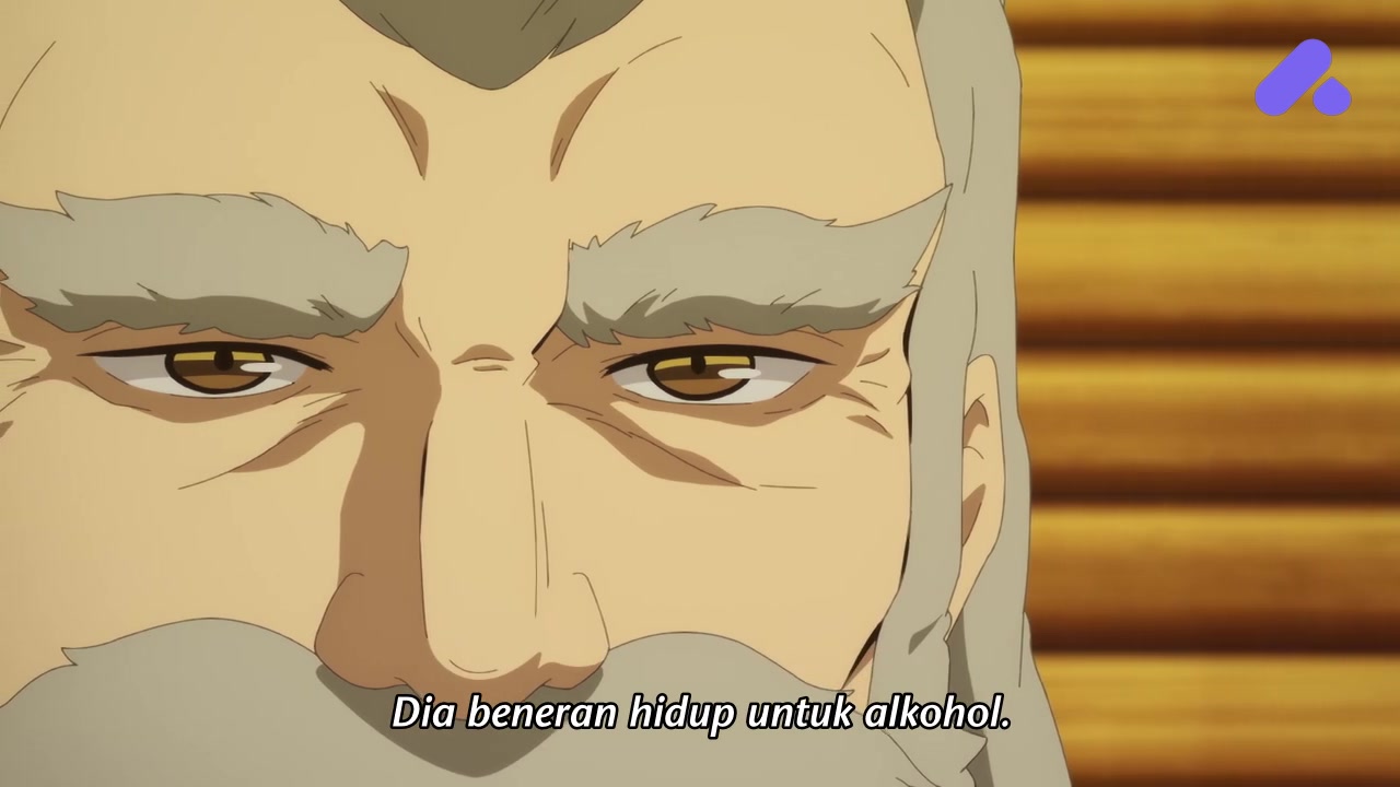 Episode 12 (End)